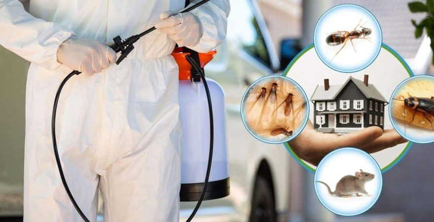 Özbek Böcek İlaçlama