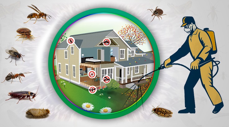 Özbek Böcek İlaçlama