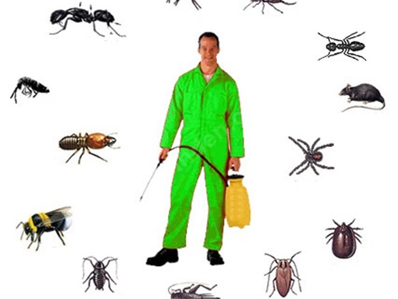 Özbek Böcek İlaçlama